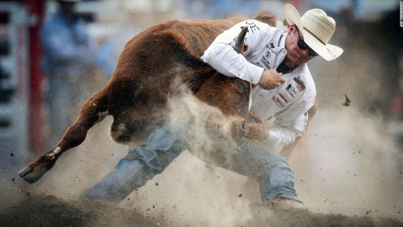 Dakota Eldridge lucha contra un buey el domingo 9 de julio, durante el Stampede de Calgary en Calgary, Alberta.