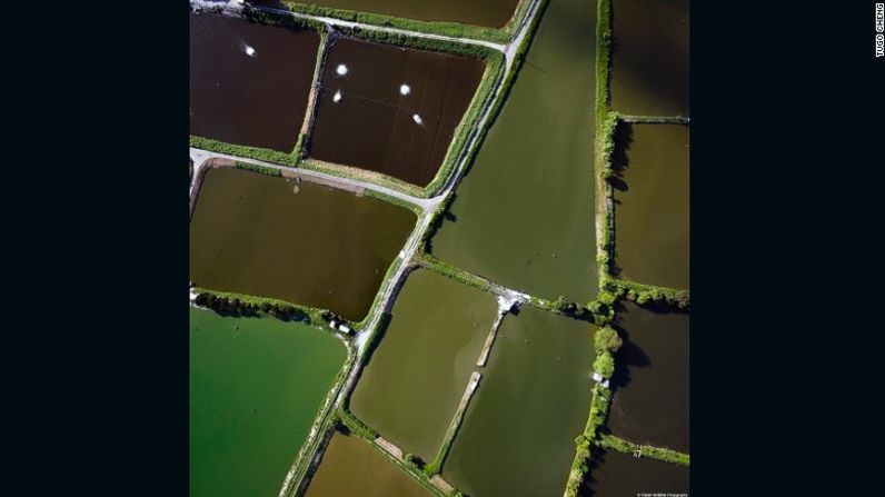 Esta foto se llama "Paleta verde". A través de la serie de City Patterns, Cheng se esfuerza por transmitir lo que hace única a la ciudad. Lo que a él le interesa de Hong Kong -famosa por su costoso mercado inmobiliario y su densa población- es la forma en que la ciudad se mezcla con la naturaleza.