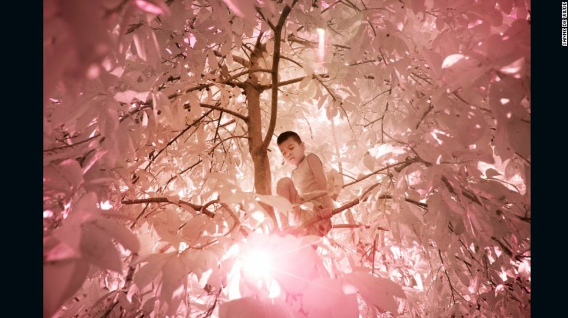 Jaynard Robert, un niño daltónico, sube a un árbol en el jardín para jugar y recoger frutas.