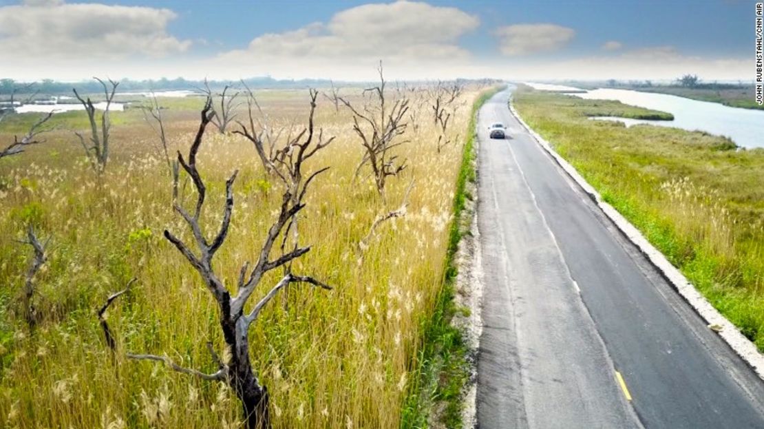 CNNE 435782 - 170414105259-louisiana-climate-change-ghost-forest-exlarge-169