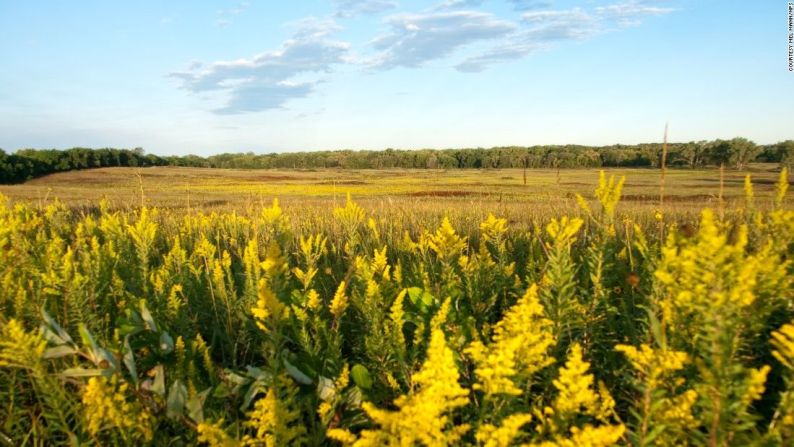 El eclipse del 21 de agosto atravesará 21 sitios del Servicio de Parques Nacionales y 7 senderos, entre ellos el monumento nacional Homestead en Nebraska.