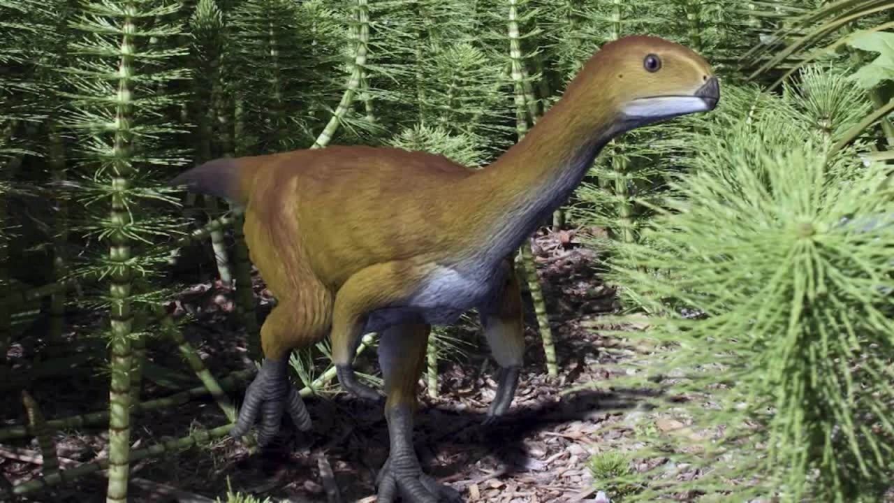 CNNE 440692 - dinosaurio frankestein