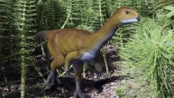 CNNE 440692 - dinosaurio frankestein