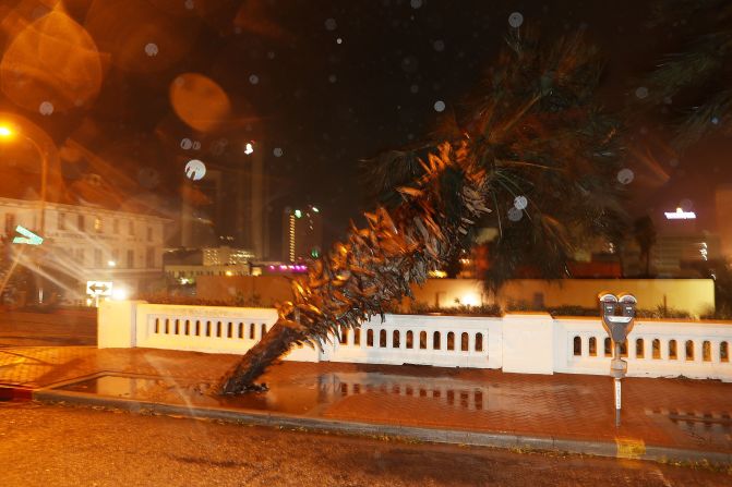 Una palmera es doblegada por el huracán Harvey a su llegada a Corpus Christi.