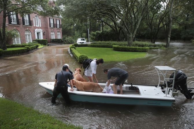 Voluntarios y agentes de la patrulla de seguridad del barrio ayudan a rescatar a residentes y a sus perros en el barrio de River Oaks el 27 de agosto de 2017 en Houston, Texas. Crédito: Scott Olson / Getty Images