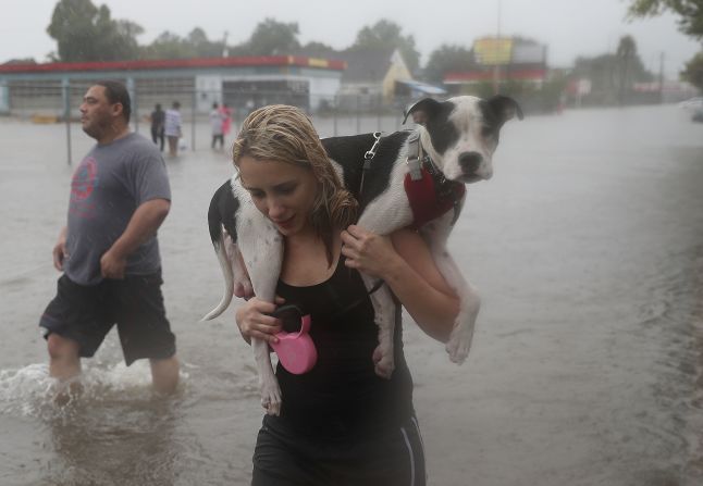 Naomi Coto lleva a Simba sobre sus hombros mientras evacuan su hogar después de que el área se inundara a consecuencia del huracán Harvey el 27 de agosto de 2017 en Houston, Texas. Crédito: Joe Raedle / Getty Images