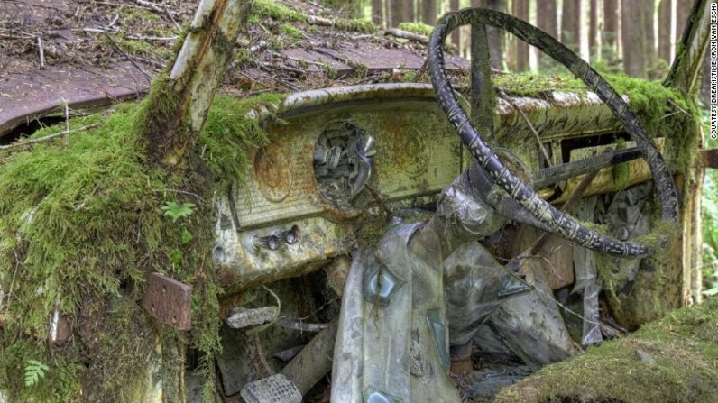 Esta camioneta Ford, que se encuentra en el exuberante Parque Nacional Olímpico de Washington, no ha tenido tanta suerte.