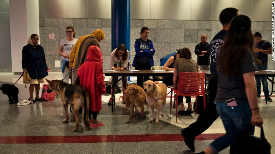 Los evacuados pueden llevar a sus mascotas al refugio temporal que se montó en el Centro de Convenciones George R. Brown, en el centro de Houston, que hoy alberga a más de 10.000 personas.