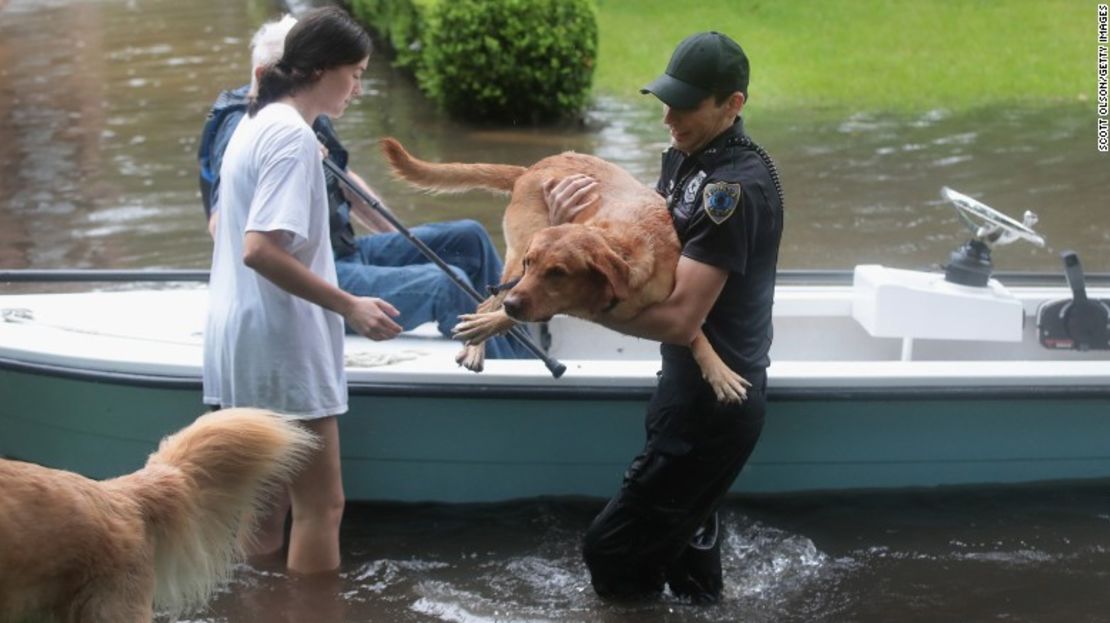 Voluntarios y autoridades rescatan a residentes y sus mascotas en el barrio Río Oaks, tras las inundaciones producidas por Harvey en Houston.