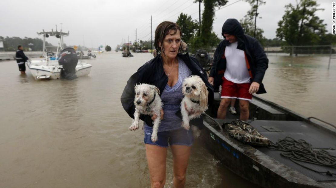 Belinda Penn sostiene a sus perros Winston y Baxter después de que fueron rescatados de su casa inundada en Spring, Texas.