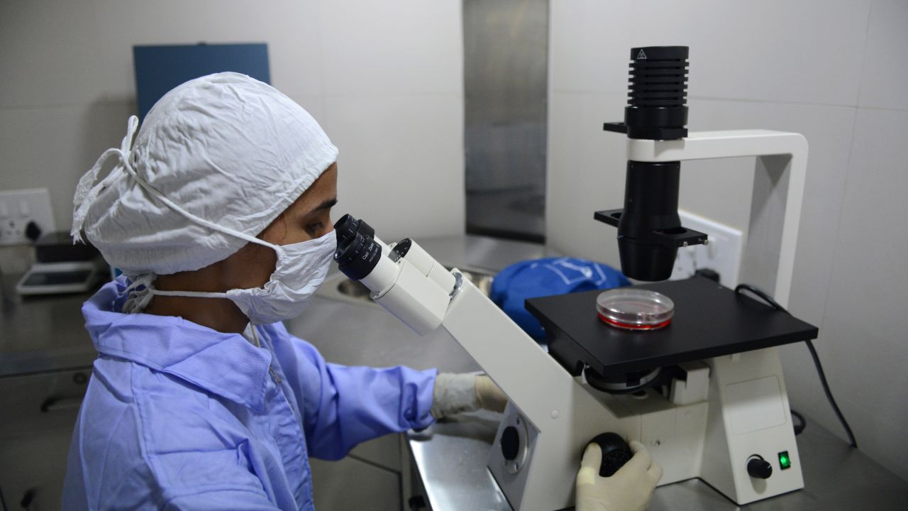 Researcher Shruti Dave examines stem cells through a microscope at the Transplantation Biology Research Centre situated at The Institute of Kidney Disease and Research Centre (IKDRC), Civil Hospital campus in Ahmedabad on February 6, 2013.  Shruti Dave, working as a junior research fellow under Doctor Aruna Vanikar and Prof H L Trivedi at the department of Pathology, IKDRC-ITS, was conferred the most outstanding young researcher in Nephrology award for her work on generation of regulatory-cells from adipose tissue and peripheral blood mononuclear cells, by TANKER Foundation and Kerala Kidney Research Foundation in Chennai.     AFP PHOTO / Sam PANTHAKY