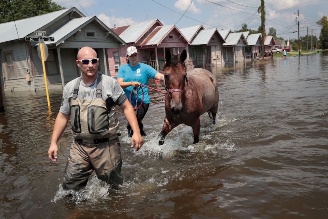 Calles inundadas en el sur de Texas.