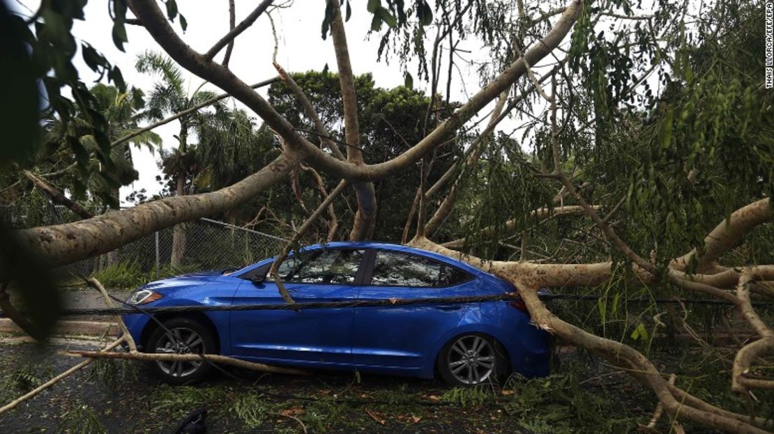 Vientos muy fuertes producidos por el huracán Irma derribaron decenas de árboles en el barrio de Santurce, en San Juan de Puerto Rico.