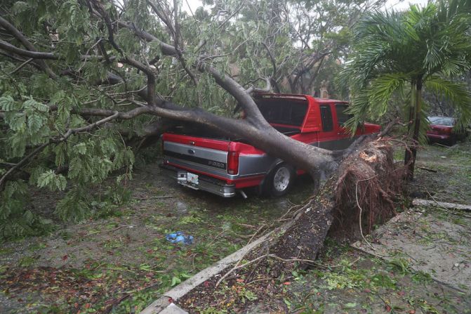 Un árbol cayó en la parte trasera de una pickup luego de ser derribado por los vientos del huracán Irma.