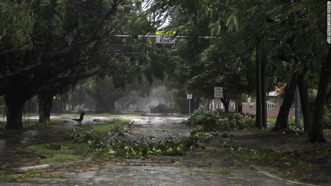 El huracán Irma derribó decenas de árboles y ramas cuando llegó al sur de Florida este 10 de septiembre.