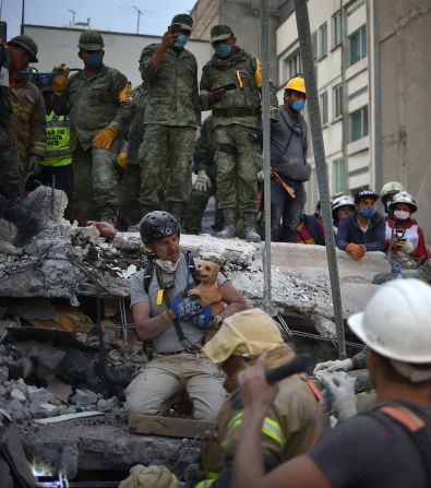 Las mascotas también sintieron la solidaridad de los rescatistas en medio de la tragedia.