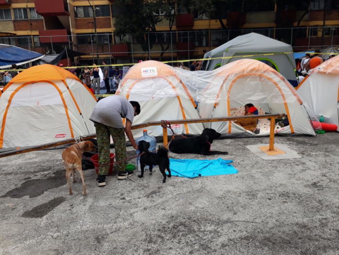 Los perros acompañan a sus dueños en el albergue. (Foto: Dainzú Patiño).