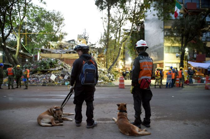 Dos rescatistas argentinos y sus perros de rastreo toman un descanso durante un operativo.