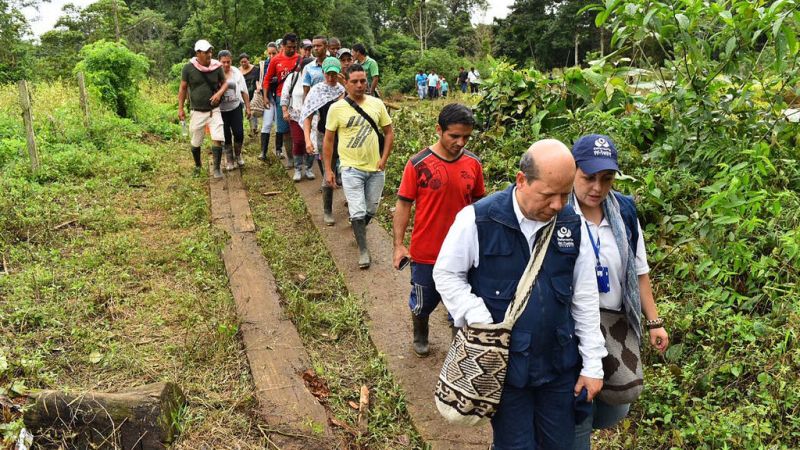 Cinco preguntas sobre el asesinato de campesinos en tumaco | cnn