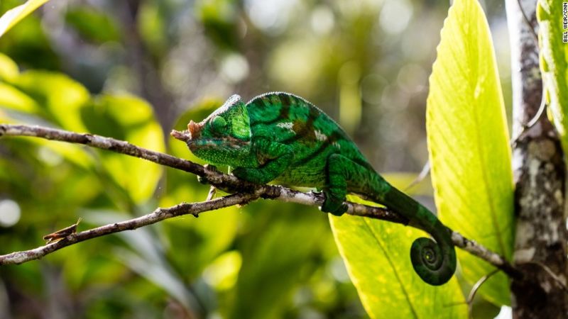 Por qué madagascar es el país pobre más rico del mundo | cnn