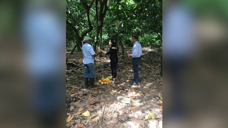 Lo que no se vio en la pantalla... Llegamos a San Francisco de Macorís en búsqueda del chocolate Dominicano para vivir un dulce recorrido en la "Hacienda La Esmeralda". Lo primero que me impresionó al solo de bajarnos del auto fue el olor intenso del cacao que se despide por el proceso de fermentación. Para mí, que sufro de un olfato muy sensible, fue demasiado agudo y amoníaco, sin duda un olor inesperado y con el cual nos tocó trabajar. Claro, tras un par de horas te acostumbras. Otro detalle inolvidable de esta grabación fue cuando, entrando al bosque para filmar una secuencia con Alejandra probando la semilla del cacao, vamos leyendo un letrero que te advierte que ¡aquí existen culebras! Basta decir que esta secuencia la sufrimos al solo pensar que estábamos rodeados y sin poder verlas bien porque las culebras van camufladas entre las hojas caídas. Yo al menos miraba el suelo cada otro segundo para asegurarme de no pisar algo en movimiento... ¿Cómo calmamos los nervios? Pues de la mejor forma: comiendo la fruta del cacao y chocolate. ¡¡¡Mucho chocolate!!! La experiencia en su totalidad fue increíble, los de la Hacienda La Esmeralda deslumbraron y estos momentos quedan como buenas anécdotas de lo vivido.