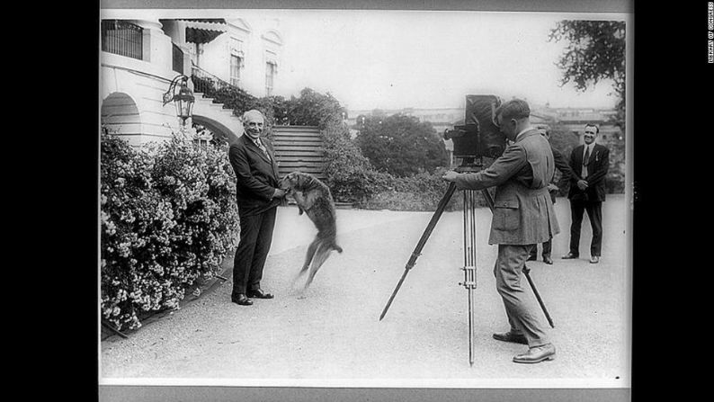 El presidente Warren G. Harding y su perro Laddie se toman una fotografía frente a la casa Blanca.