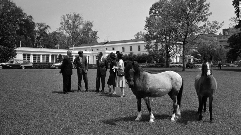 El presidente John F. Kennedy y la primera dama Jacqueline Kennedy junto a invitados a y a los ponis de su hija, Macaroni y Tex, afuera de la Casa Blanca en 1962.