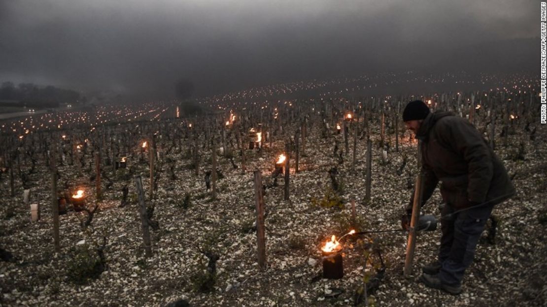 Los viticultores franceses implementaron calentadores para proteger sus uvas.