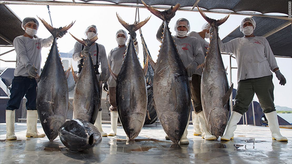 CNNE 461883 - 171027112732-tuna-processing-mexico-780x439