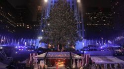 CNNE 465630 - cnnnextdamassets161201154549-01-rockefeller-christmas-tree-1201