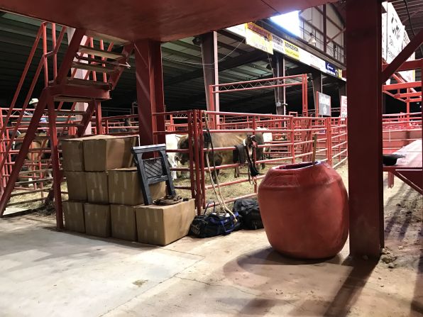 Así se ve tras bambalinas donde están los toros y los caballos del rodeo. De aquí salen a la arena a competir.