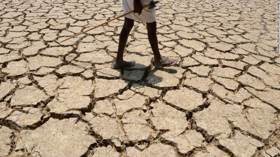 La desertificación: una de las consecuencias del calentamiento global.