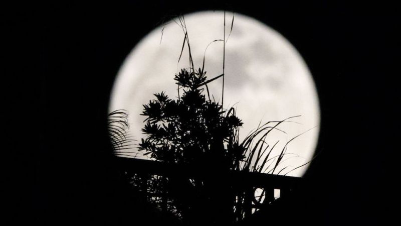 Superluna azul de agosto 2023: por qué es única, cuándo y dónde verla | cnn