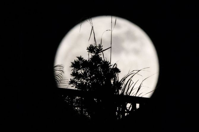 La superluna se observa detrás de las plantas en un balcón de un bloque residencial en Hong Kong.