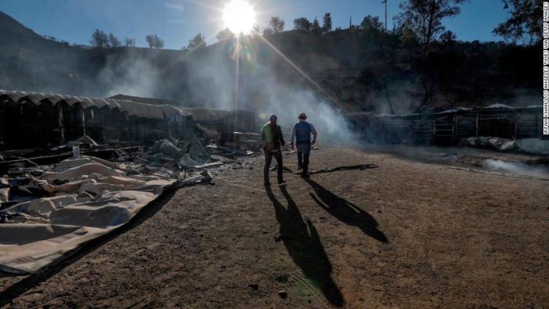 Virginia Padilla, a la izquierda, y su hermano, Jaime Padilla, evalúan su rancho en Little Tujunga Road, donde 29 caballos perecieron en el incendio Creek este martes.