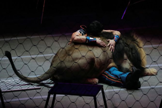 21 de mayo — El entrenador de animales Alexander Lacey se apoya en un león durante la actuación final del circo Ringling Bros. El circo tenía 146 años de existencia, pero los altos costos operativos y las bajas ventas de boletos causaron su desaparición.