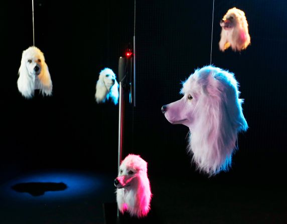 3 de julio — Cabezas artificiales de perros, parte de la instalación de arte de Heather Phillipson, “100% Other Fibres”, en el museo Schirn en Frankfurt, Alemania.