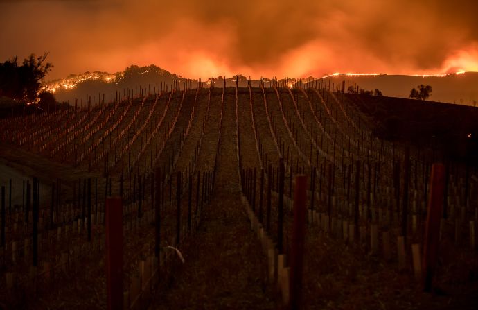 9 de octubre - La luz de las llamas de un incendio brillan tras un viñedo en Napa, California. Los incendios forestales forzaron a miles a huir de California.