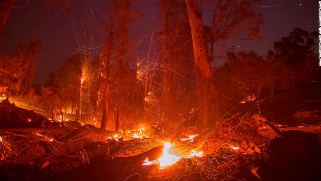 Un fuerte viento sopla las llamas de árboles incendiados por el incendio Thomas el 16 de diciembre de 2017, en Montecito, California.