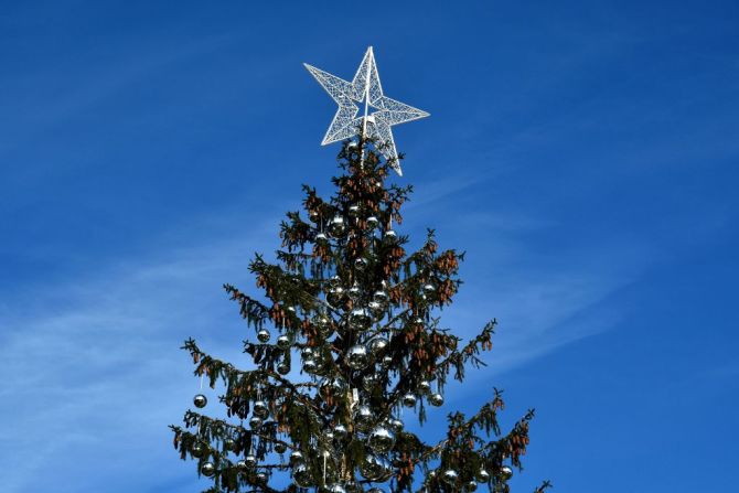 El árbol fue traído desde Val di Fiemme en la región de Trentino, en el norte de Italia, pero desafortunadamente el municipio admitió que el árbol se secó antes del día de Navidad. “El árbol ha muerto”, le dijeron fuentes del ayuntamiento de Roma al diario Corriere della Sera.