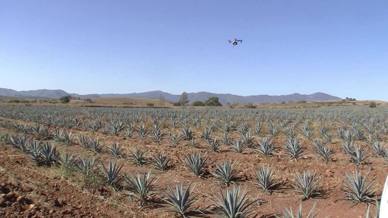 Drones para producir más y mejor tequila en México