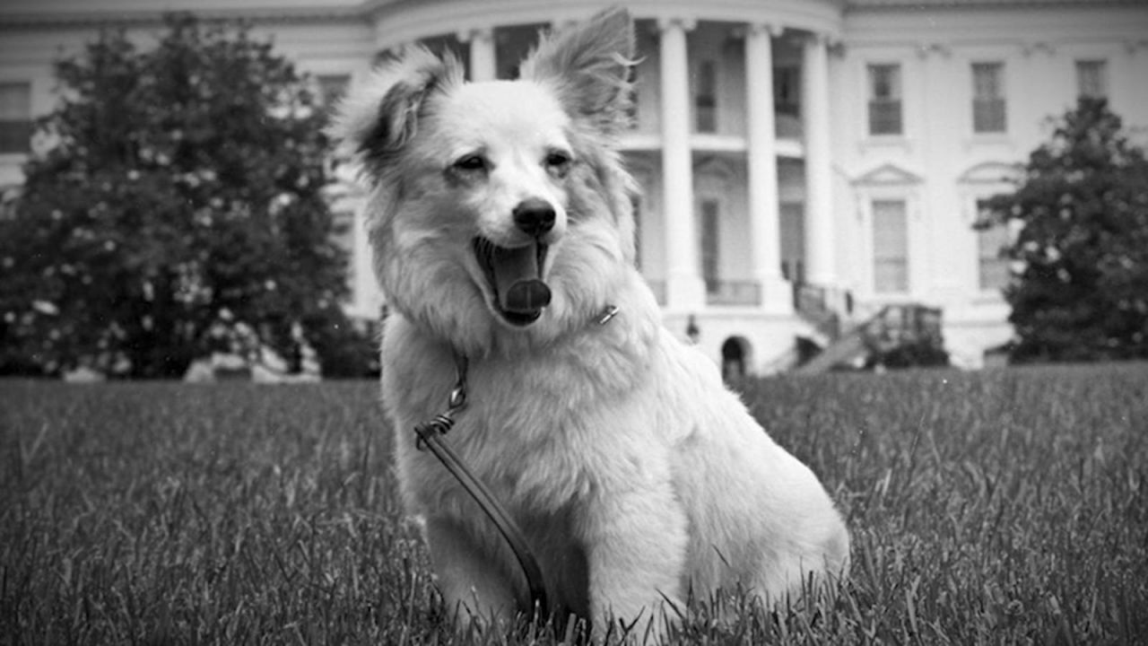 CNNE 481515 - mascotas casa blanca presidentes estados unidos