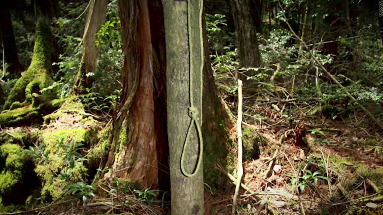 Aokigahara, el "bosque de los suicidios" en Japón.