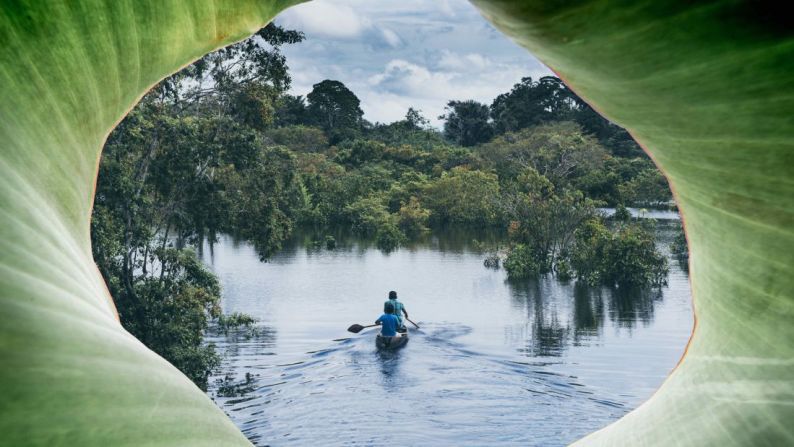 Kayak y pesca de pirañas, Amazonía: remando en canoa por algunas de las partes más remotas del Amazonas en Colombia, Perú y Brasil, este viaje incluye dormir en la jungla, conocer tribus indígenas y hacer caminatas por el bosque por la noche.