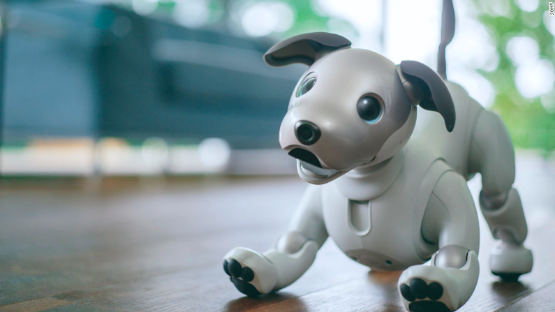 Perro robot — Aibo tiene mejoras de inteligencia artificial (AI) como el desarrollo de su propia personalidad con el paso del tiempo, y puede reconocer a las personas usando la tecnología de reconocimiento facial. El robot también puede diferenciar a las personas de los objetos. A diferencia de antiguos modelos, tiene ojos OLED, que lo hace lucir más realista. Aibo cuesta 198.000 yenes (unos 1.740 dólares). Las preórdenes empezaron en noviembre y empezarán a enviarse a Japón en los próximos días.