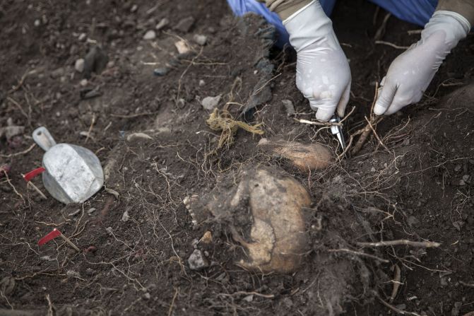 El Equipo Forense Especializado del Ministerio Público de Perú fue fundado en el 2003. Durante esta exhumación se intervinieron 19 fosas clandestinas que datan de hace 30 años, aproximadamente. En la foto: las raíces han atrapado durante 29 años los cuerpos de dos víctimas asesinadas por militares. Con mucha paciencia, el especialista corta con su navaja las penetrantes fibras vegetales. Chaupimayo, Chungui, La Mar.