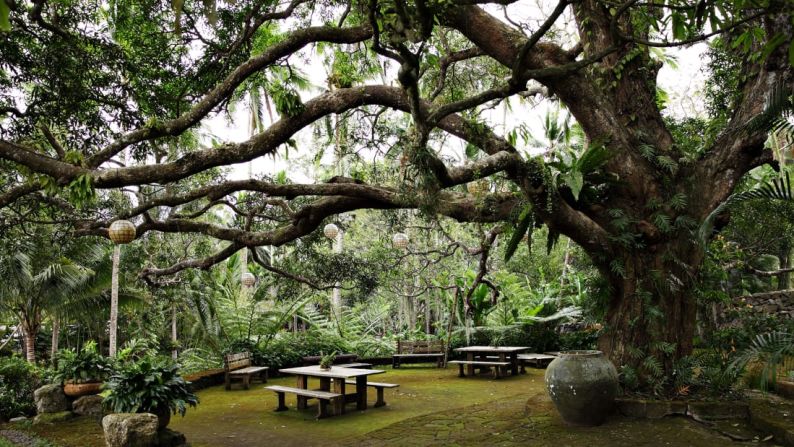 Paider lleva el equipo fotográfico mínimo. Aquí: La granja de San Benito, en Filipinas.