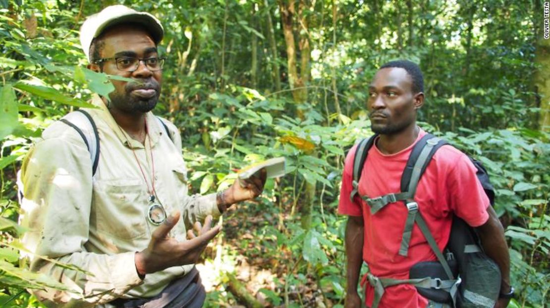 El bosque tropical cubre el 85% de Gabón.