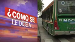 CNNE 500307 - como se le dice a autobus