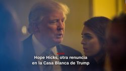 CNNE 502510 - trump hicks